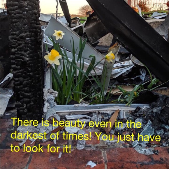 Meet your Posher, Rebecca - Picture 10 of 14